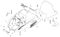 Hood And Windshield Assembly