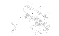 Throttle Body Assembly