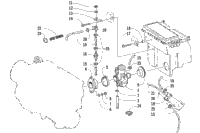 Carburetor And Fuel Pump Assembly