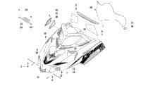 Hood And Windshield Assembly