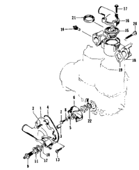 Water Pump/Water Manifold