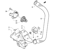 Water Pump/Water Manifold