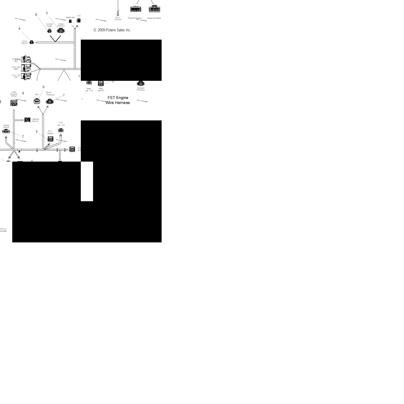 Engine, Wire Harness