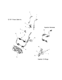 Fuel System, Rail, Lines & Throttle Body