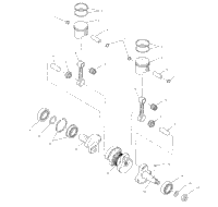 Piston & Crankshaft