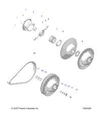 Drive Train, Clutch, Secondary