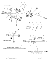 Electrical, Wire Harness
