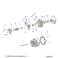 Drive Train, Clutch, Primary