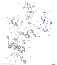 Fuel System, Rail, Lines & Throttle Body