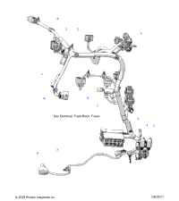 Electrical, Wire Harness, Main