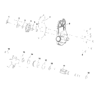Water Pump/Oil Pump