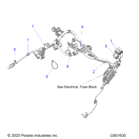 Electrical, Wire Harness, Main All Options