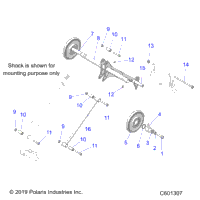 Suspension, Torque Arm, Rear All Options