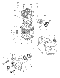 Crankcase & Cylinder (4909540954019A)