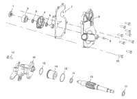 Water Pump/Oil Pump