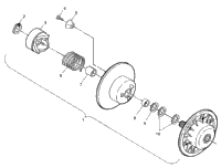 Driven Clutch