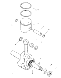 Piston & Crankshaft (4910951095022A)