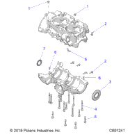 Engine, Crankcase All Options