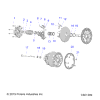 Drive Train, Clutch, Primary All Options