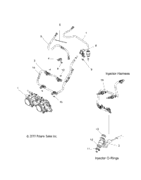 Fuel System, Rail, Lines & Throttle Body