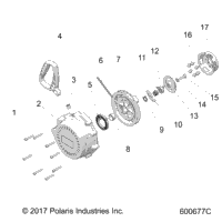 Engine, Recoil Starter All Options