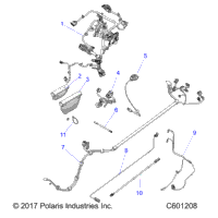 Electrical, Wire Harness All Options