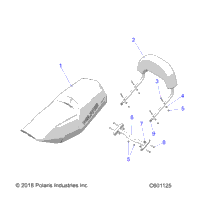 Body, Seat & Backrest