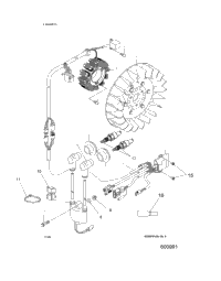 Electrical, Ignition System