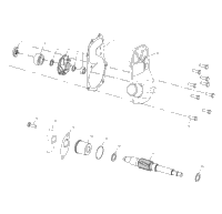 Water Pump/Oil Pump