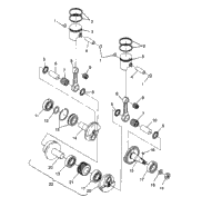 Piston & Crankshaft