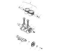 Piston & Crankshaft