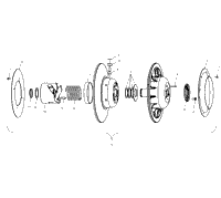 Driven Clutch