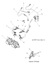 Fuel System, Rail, Lines & Throttle Body