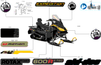 Body - Decals