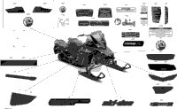 Body - Decals - X