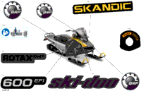 Body - Decals