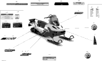 Body - Decals - Lt