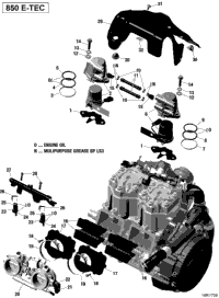 Efi - All Models