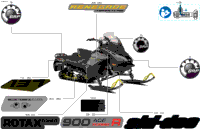 Body - Decals