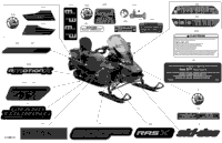 Body - Decals