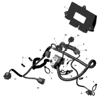 Rotax - Engine Harness And Electronic Module