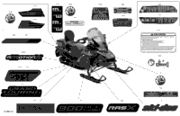 Body - Decals