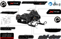 Body - Decals