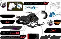 Body - Decals