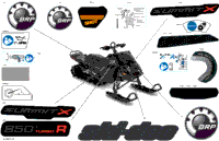 Body - Decals