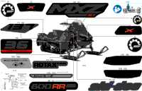 Body - Decals
