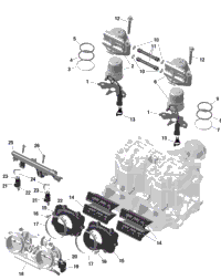 Rotax - Electronic Fuel Injection