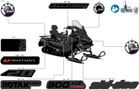 Body - Decals