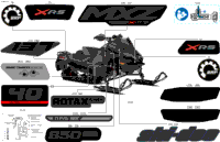 Body - Decals