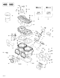 Cylinder, Exhaust Manifold, Reed Valve (493